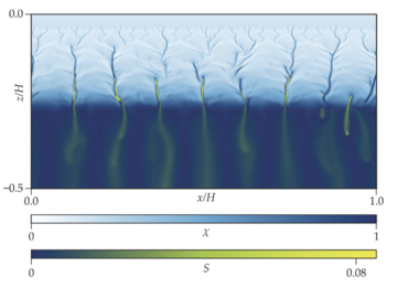 ocean circulation